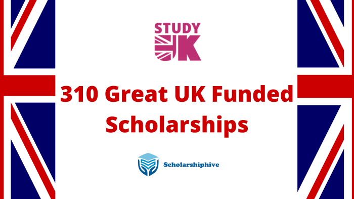 Fully Funded Scholarships in UK 2024 - Oxford Centre Fully Funded Public Health Scholarships in the UK