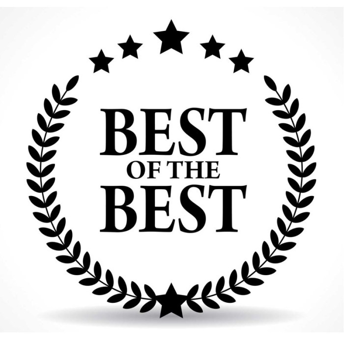 Best Postgraduate Scholarships for Tech and AI Fields in Germany